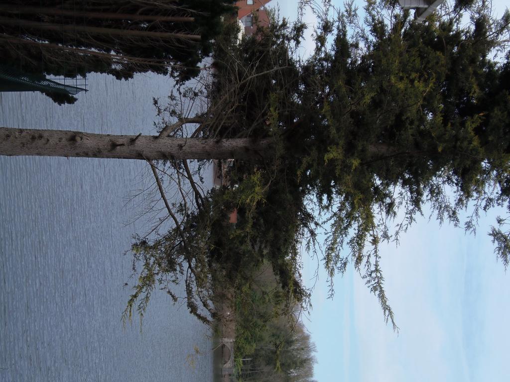Lakeside Continental Hotel Camberley Esterno foto