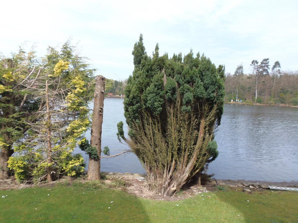 Lakeside Continental Hotel Camberley Esterno foto